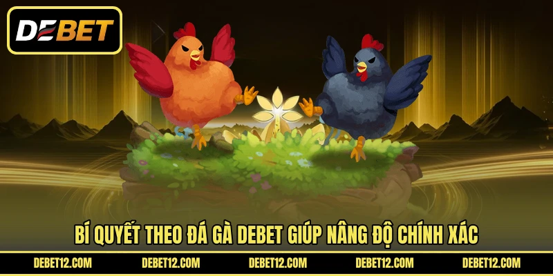 Bí quyết theo đá gà DEBET giúp nâng độ chính xác