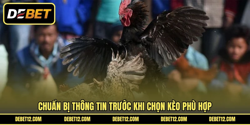 Chuẩn bị thông tin trước khi chọn kèo phù hợp