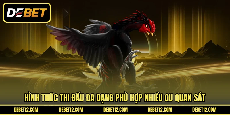 Hình thức thi đấu đa dạng phù hợp nhiều gu quan sát