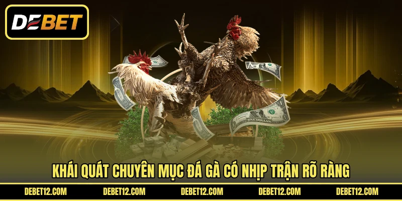 Khái quát chuyên mục đá gà có nhịp trận rõ ràng