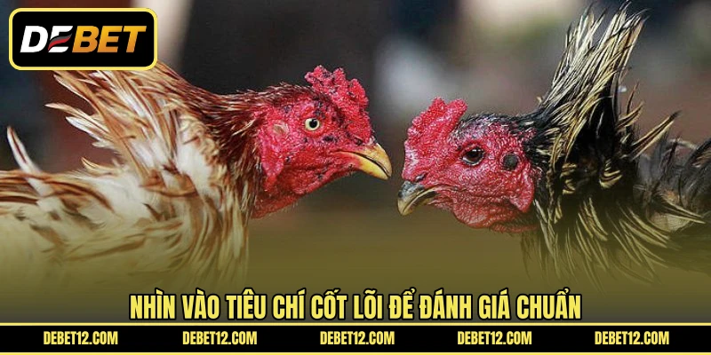 Nhìn vào tiêu chí cốt lõi để đánh giá chuẩn